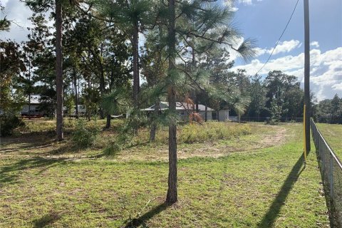 House in Hawthorne, Florida 1 bedroom, 58.53 sq.m. № 1422808 - photo 20