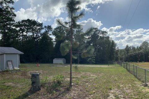 House in Hawthorne, Florida 1 bedroom, 58.53 sq.m. № 1422808 - photo 21