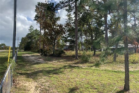 House in Hawthorne, Florida 1 bedroom, 58.53 sq.m. № 1422808 - photo 22