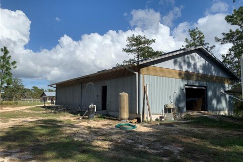 House in Hawthorne, Florida 1 bedroom, 58.53 sq.m. № 1422808 - photo 14