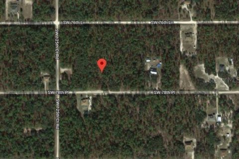Land in Dunnellon, Florida № 1813777 - photo 1