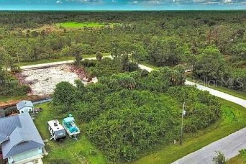 Land in Port Charlotte, Florida № 2164287 - photo 3