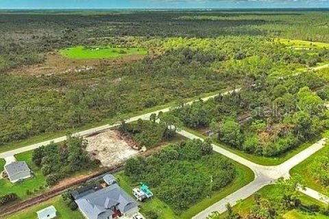 Land in Port Charlotte, Florida № 2164287 - photo 7