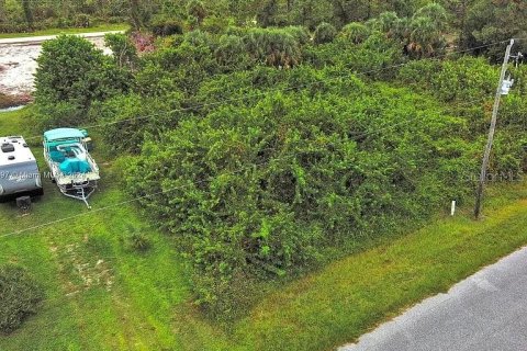 Land in Port Charlotte, Florida № 2164287 - photo 2