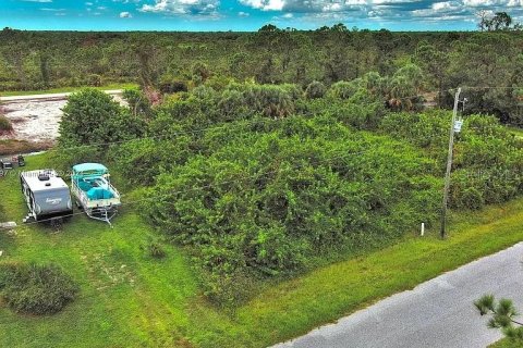 Land in Port Charlotte, Florida № 2164287