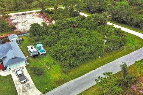 Land in Port Charlotte, Florida № 2164287 - photo 4