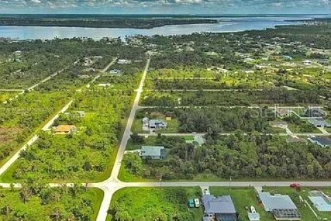 Land in Port Charlotte, Florida № 2164287 - photo 9