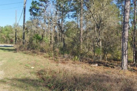 Land in Citrus Springs, Florida № 2158930 - photo 2