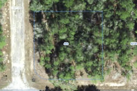 Land in Citrus Springs, Florida № 2388229