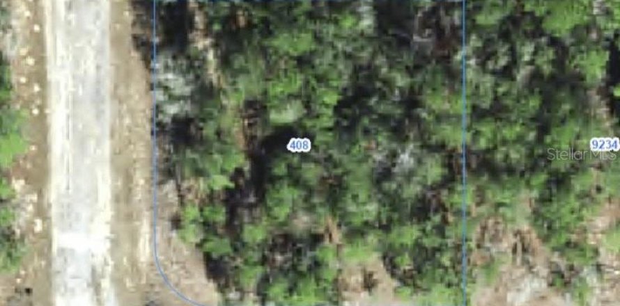Land in Citrus Springs, Florida № 2388229