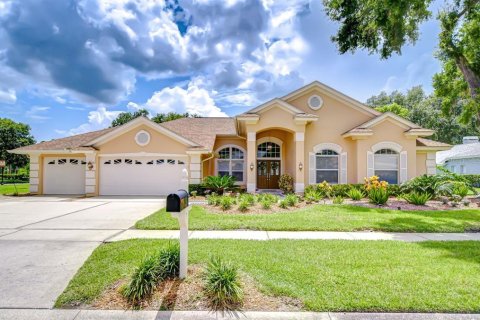 House in Odessa, Florida 4 bedrooms, 282.89 sq.m. № 1797779 - photo 1