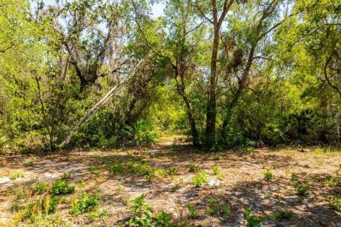 Terreno en venta en Groveland, Florida № 1632401 - foto 2
