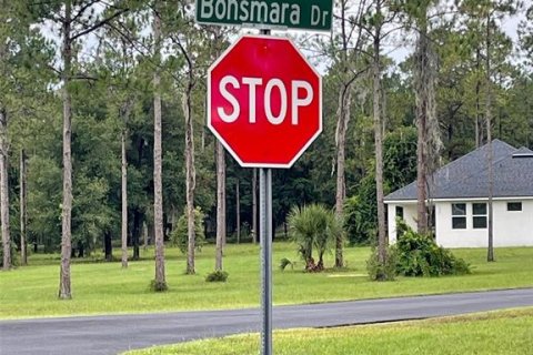 Terreno en venta en Groveland, Florida № 1632401 - foto 19