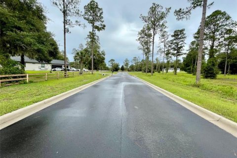 Terreno en venta en Groveland, Florida № 1632401 - foto 20