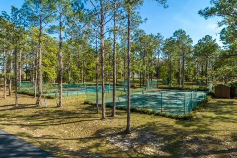 Terreno en venta en Groveland, Florida № 1632401 - foto 5