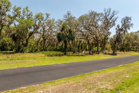 Terreno en venta en Groveland, Florida № 1632401 - foto 10