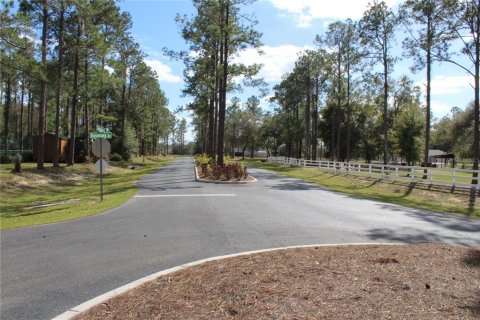 Terreno en venta en Groveland, Florida № 1632401 - foto 18