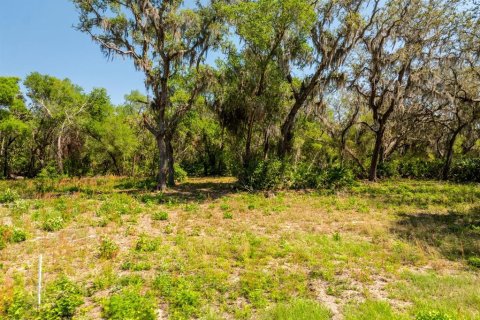 Terreno en venta en Groveland, Florida № 1632401 - foto 7