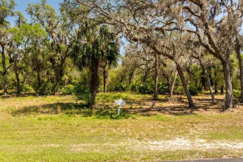 Terreno en venta en Groveland, Florida № 1632401 - foto 1