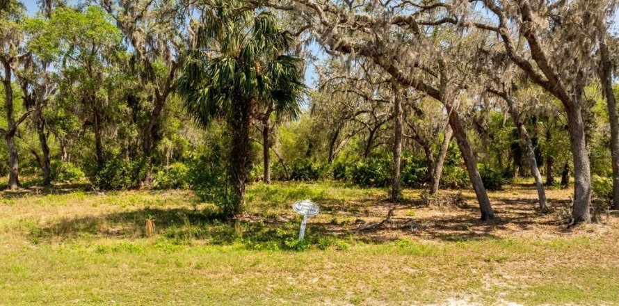 Terreno en Groveland, Florida № 1632401