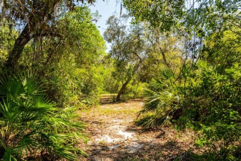 Terreno en venta en Groveland, Florida № 1632401 - foto 8