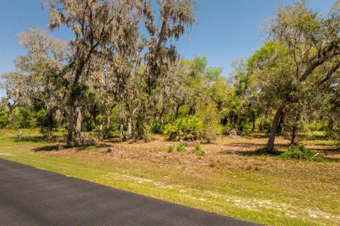 Terreno en venta en Groveland, Florida № 1632401 - foto 11