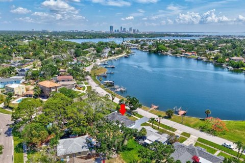 Villa ou maison à vendre à Saint Petersburg, Floride: 2 chambres, 113.81 m2 № 1755338 - photo 29
