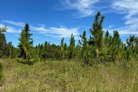 Terreno en venta en Lake City, Florida № 1554783 - foto 1