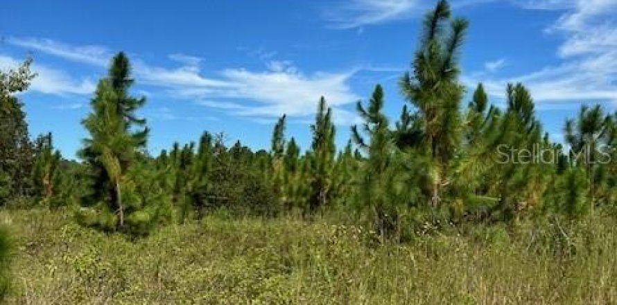 Terreno en Lake City, Florida № 1554783