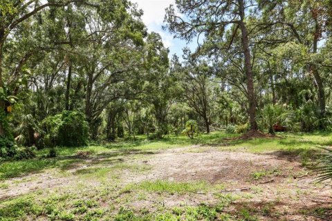 Land in Bradenton, Florida № 1914594 - photo 6