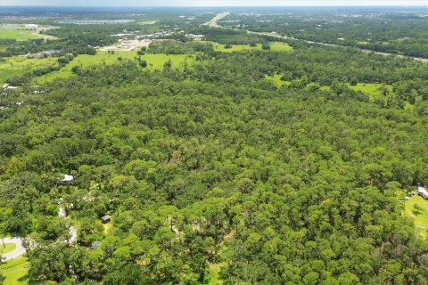 Land in Bradenton, Florida № 1914594 - photo 11