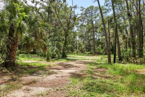 Land in Bradenton, Florida № 1914594 - photo 4