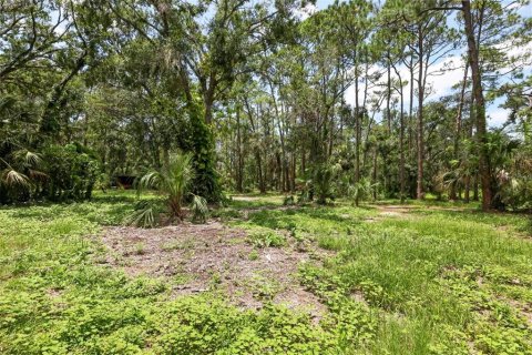 Land in Bradenton, Florida № 1914594 - photo 8