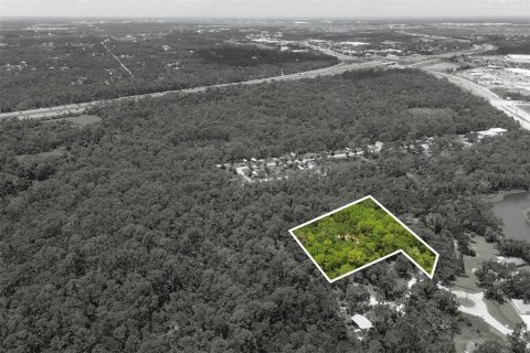 Land in Bradenton, Florida № 1914594 - photo 1