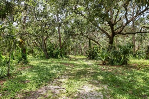 Land in Bradenton, Florida № 1914594 - photo 7