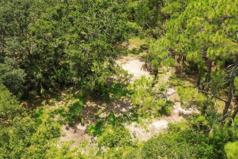 Land in Bradenton, Florida № 1914594 - photo 9