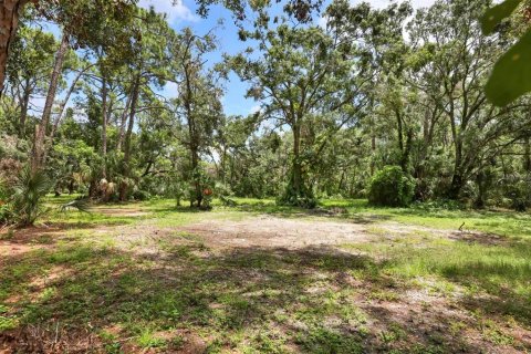 Land in Bradenton, Florida № 1914594 - photo 5