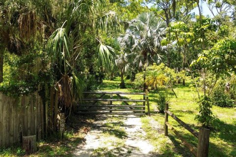 Land in Bradenton, Florida № 1914594 - photo 12