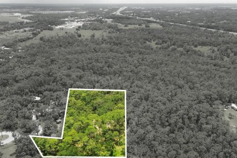 Land in Bradenton, Florida № 1914594 - photo 13