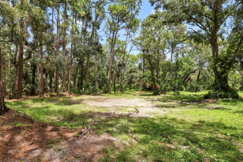 Land in Bradenton, Florida № 1914594 - photo 3