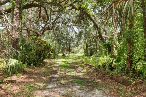 Land in Bradenton, Florida № 1914594 - photo 2