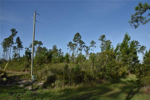 Terrain à vendre à Fort MC Coy, Floride № 2214225 - photo 4