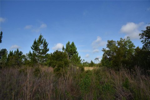 Terrain à vendre à Fort MC Coy, Floride № 2214225 - photo 22
