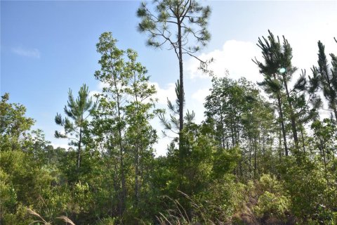 Terrain à vendre à Fort MC Coy, Floride № 2214225 - photo 27
