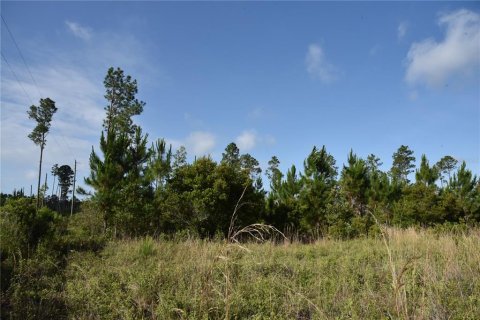 Terrain à vendre à Fort MC Coy, Floride № 2214225 - photo 23