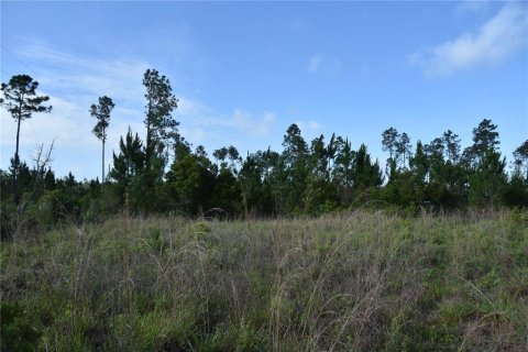 Terrain à vendre à Fort MC Coy, Floride № 2214225 - photo 25