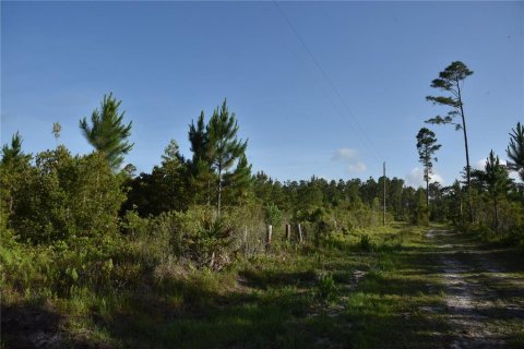 Terrain à vendre à Fort MC Coy, Floride № 2214225 - photo 3