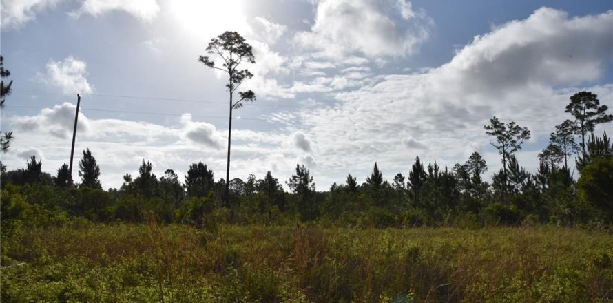Terrain à Fort MC Coy, Floride № 2214225
