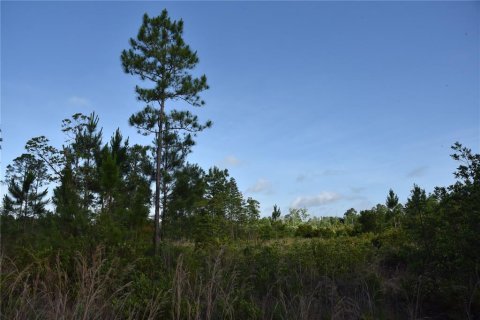 Terrain à vendre à Fort MC Coy, Floride № 2214225 - photo 29
