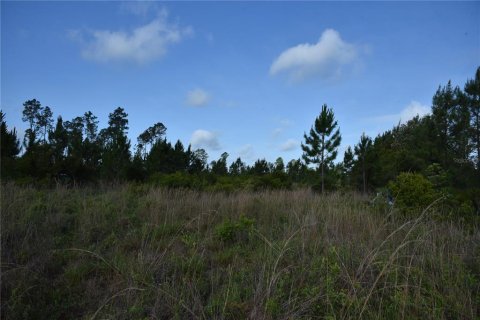 Terrain à vendre à Fort MC Coy, Floride № 2214225 - photo 24